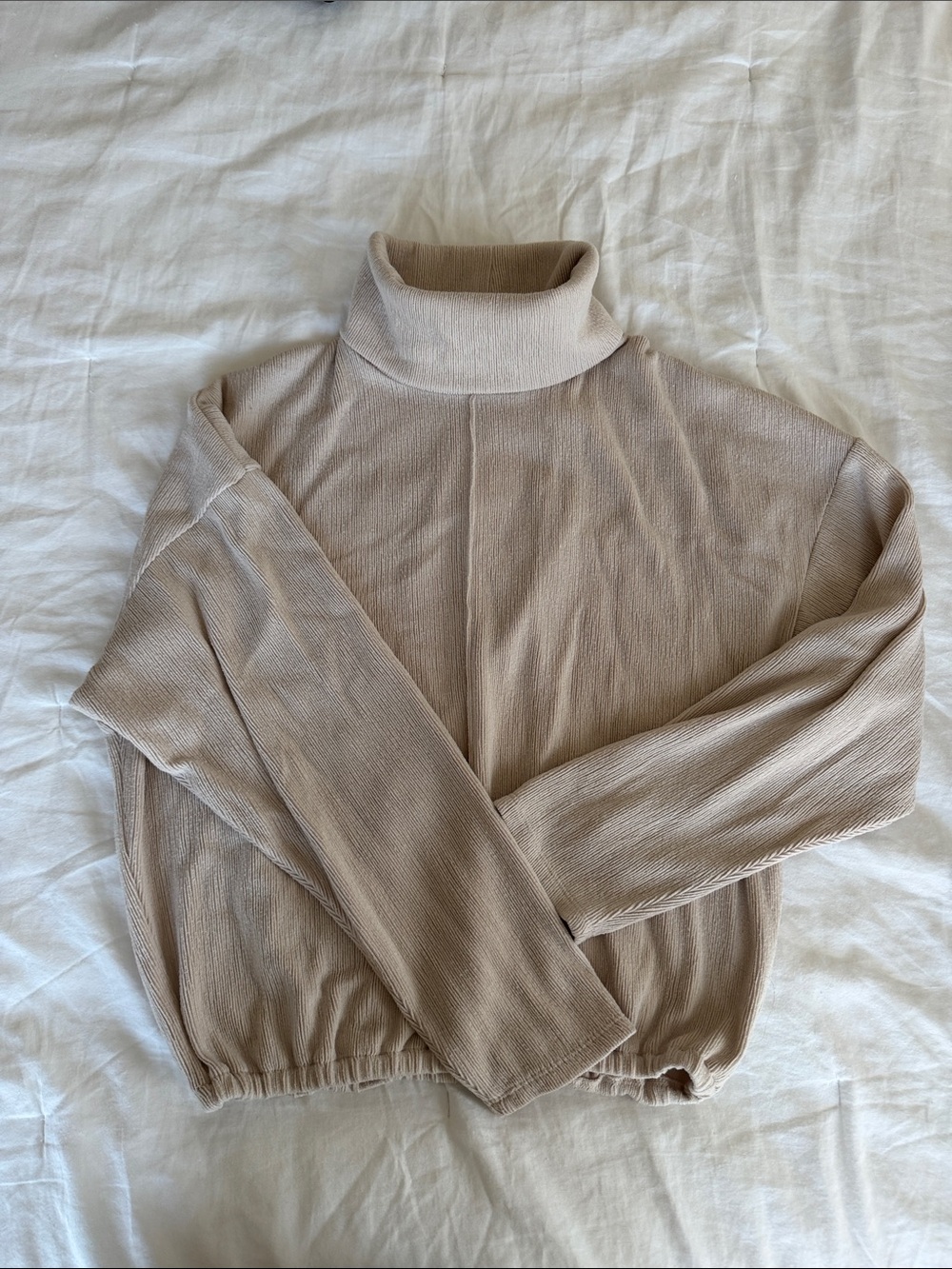 Zara Beige Turtleneck Sweater
